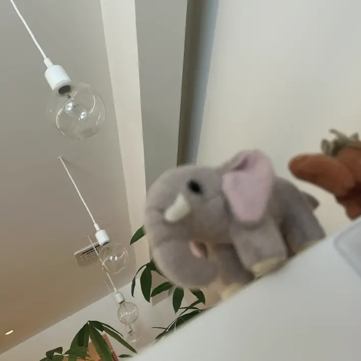 節電のため、照明を一部落とします